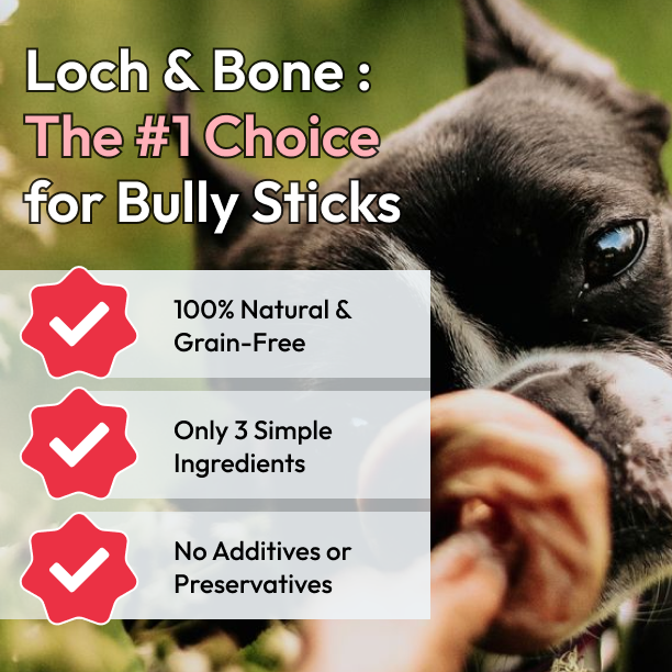 6 inch Monster Bully Stick