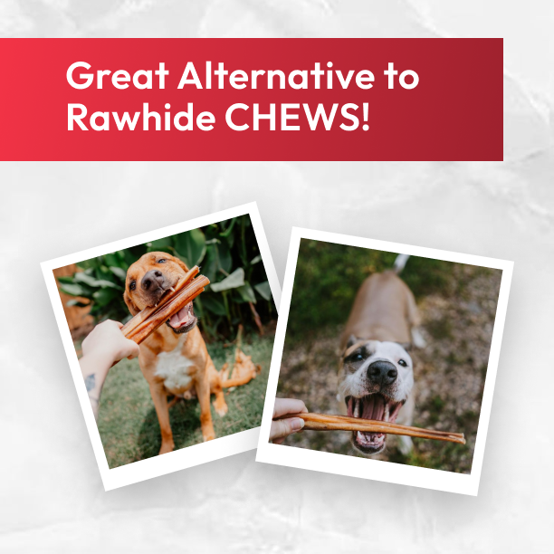 6 inch Monster Bully Stick