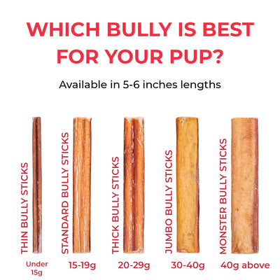 5 inch Thin bully Stick