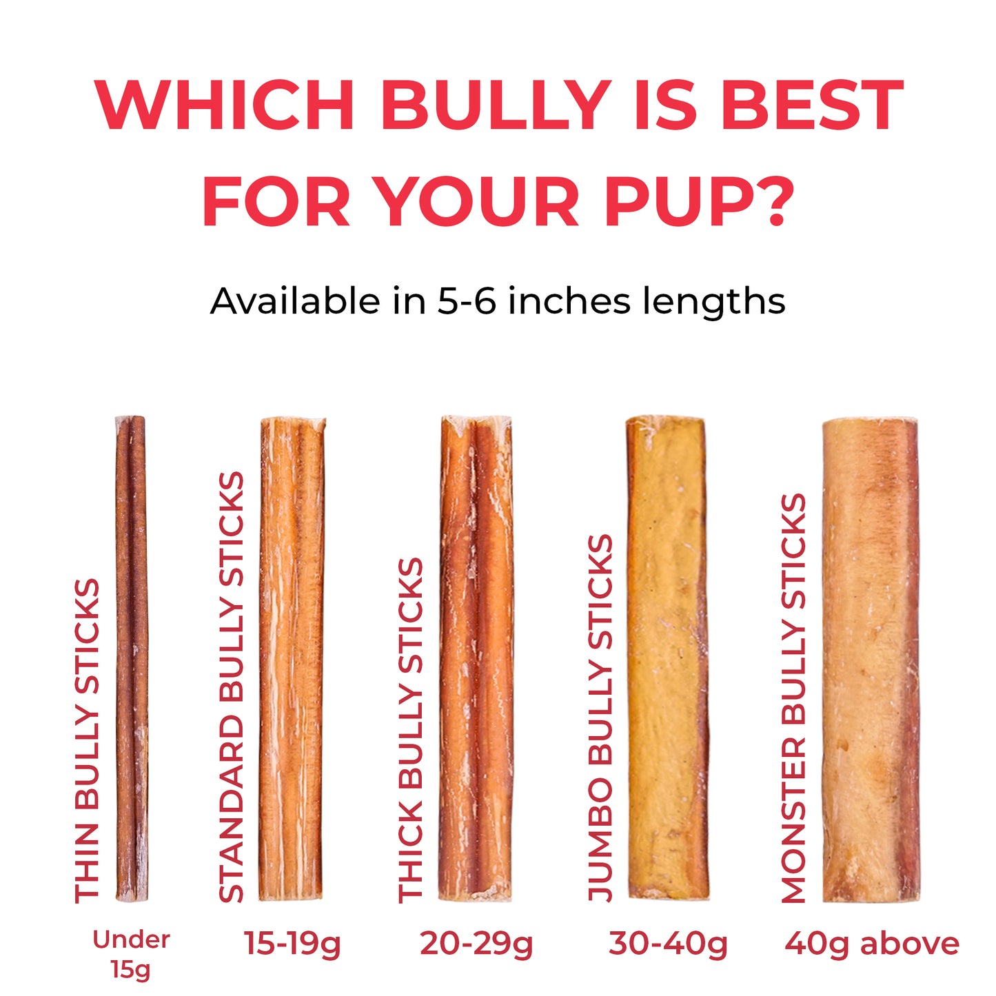 5 inch Standard Bully Stick