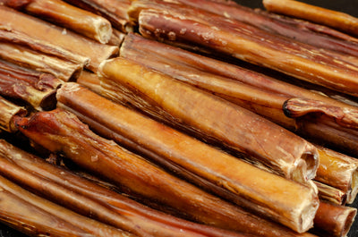 Why Beef Pizzles Are a Favourite Among Dogs