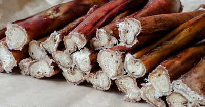 Introduction to Bully Pizzle Sticks