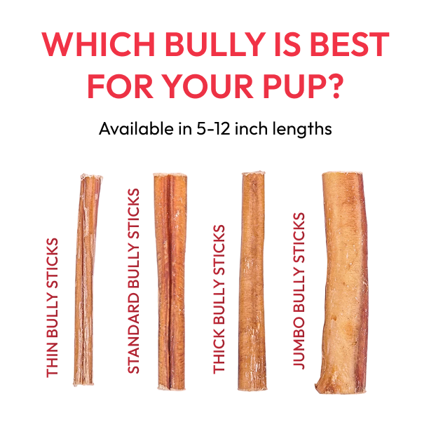 5 inch Standard Bully Stick