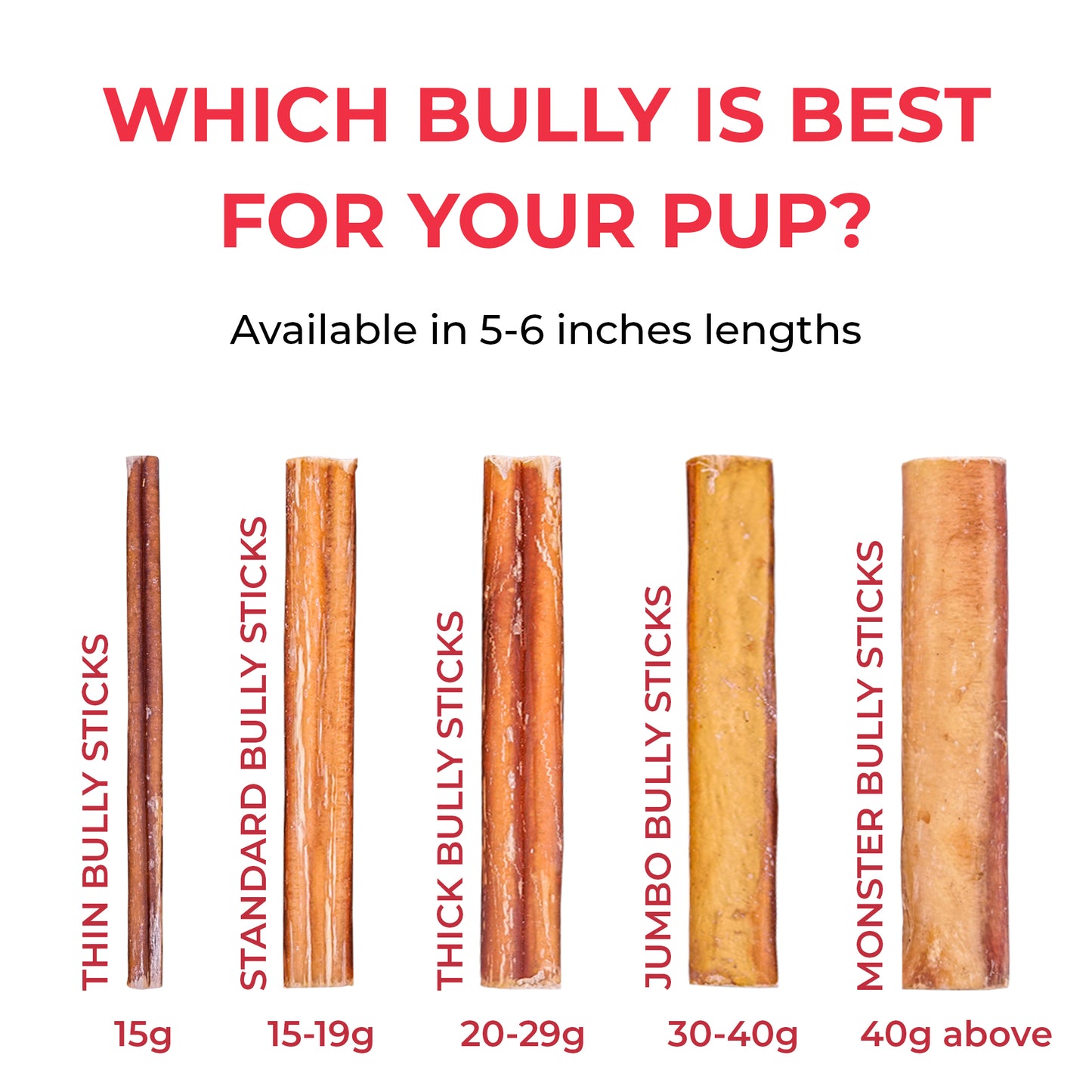 Bully Stick Bundle (5-6 inch)