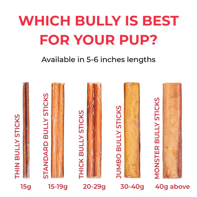 Bully Stick Bundle (5-6 inch)