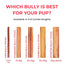 5 inch Standard Bully Stick